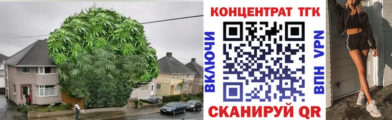 mega ссылка Сураж ТГК вейп с тгк